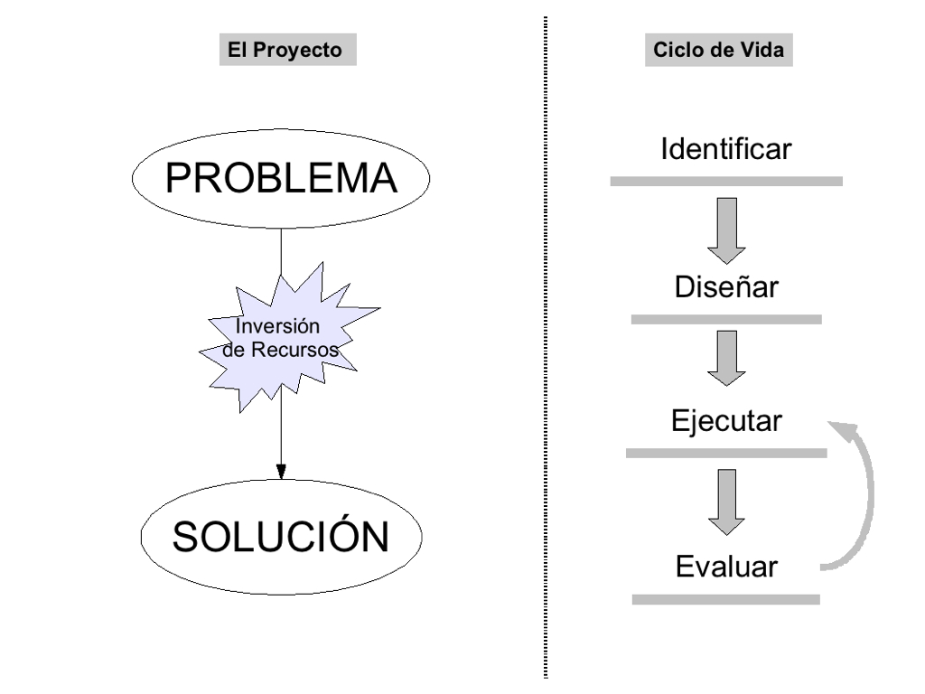 ciclo_de_vida.jpg