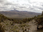 Entre Bosques de Queñua