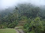 Caminando a Ciudad Perdida