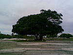 Parque Abaeté