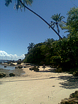 Palmeras y Playa