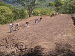 Limpieza del Terreno